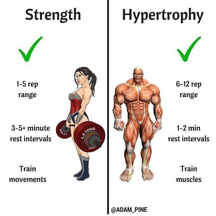 Understanding Hypertrophy: Repetition Range to Build Muscle