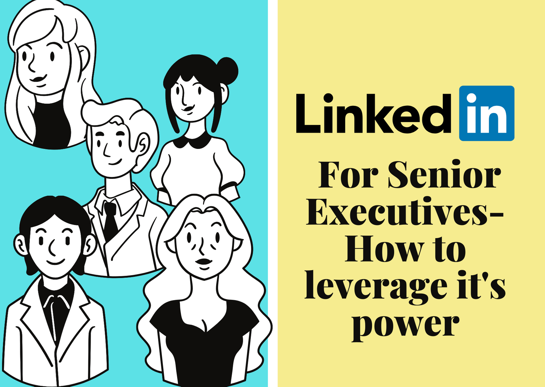 LinkedIn for Senior Executives: How to leverage power of LinkedIn?