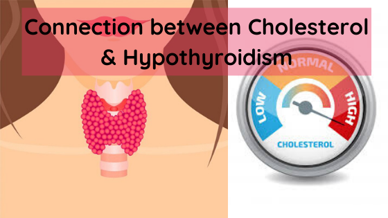 Connection between Cholesterol & Hypothyroidism