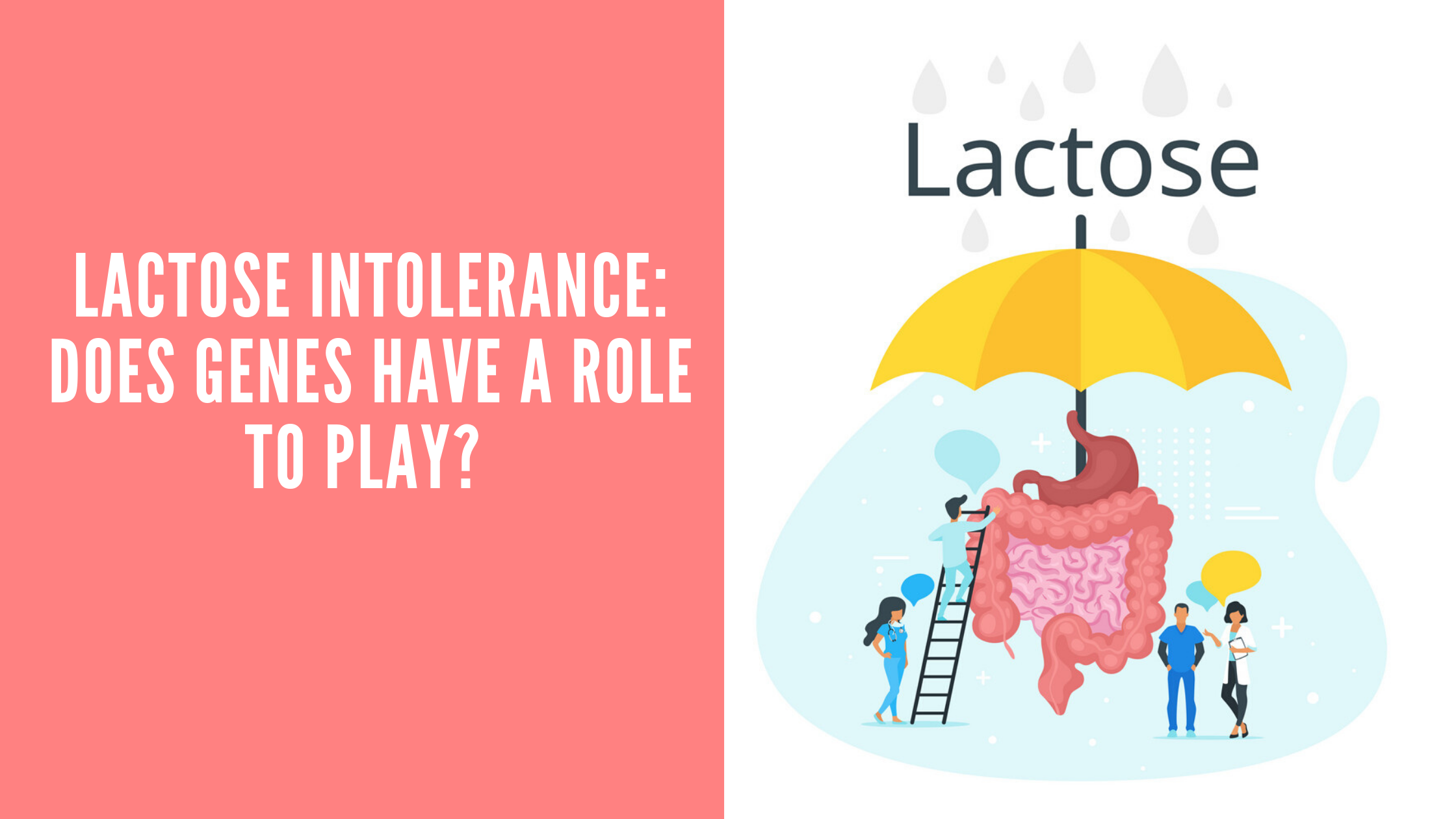 Lactose Intolerance: Do Genes have a role to Play?