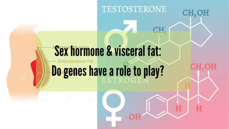 Sex hormone & visceral fat: Do genes have a role to play?