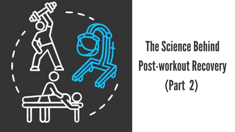 The Science Behind Post-workout Recovery (Part  2)