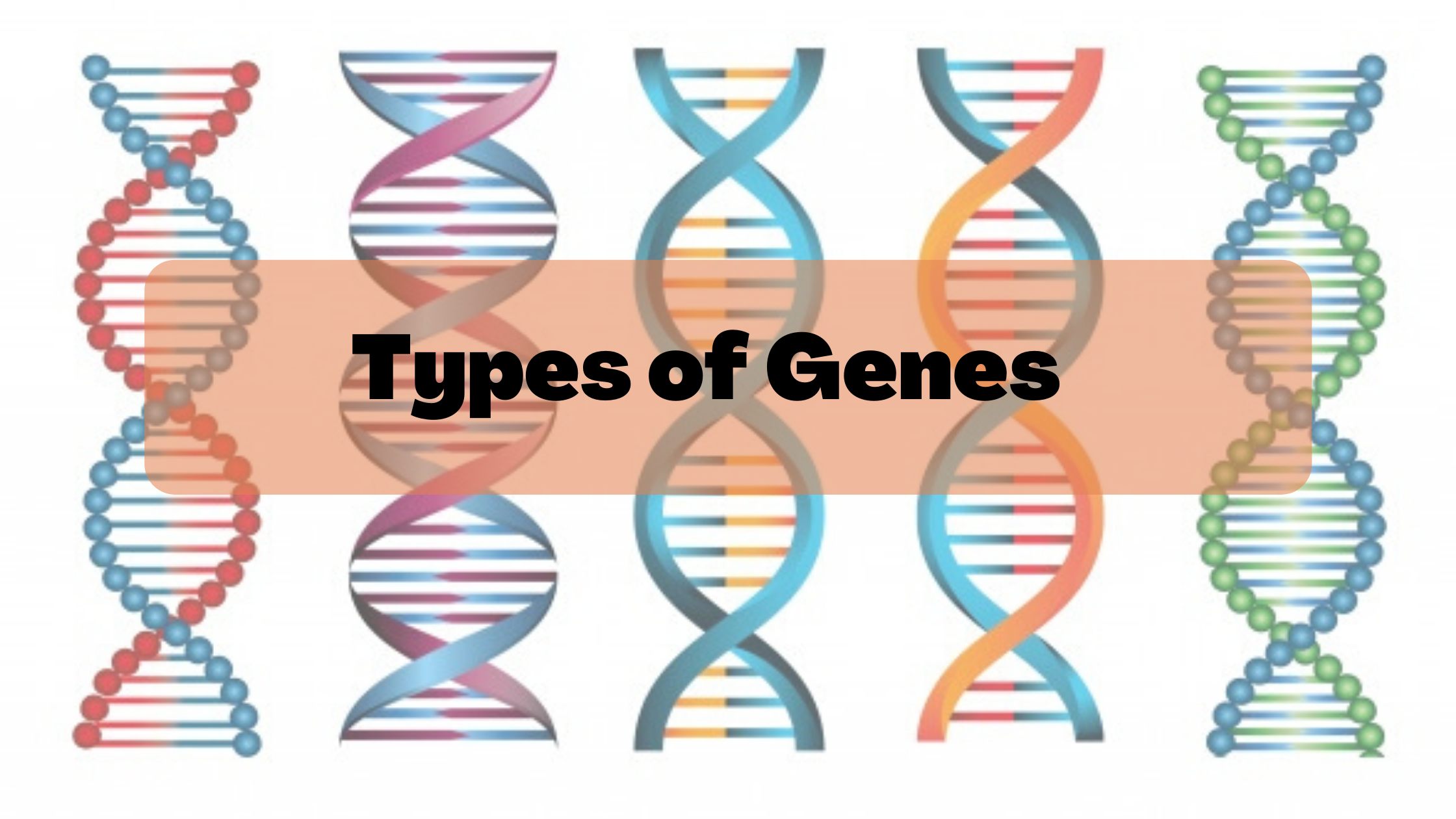 types-of-genes-sushant-kumar-ventures