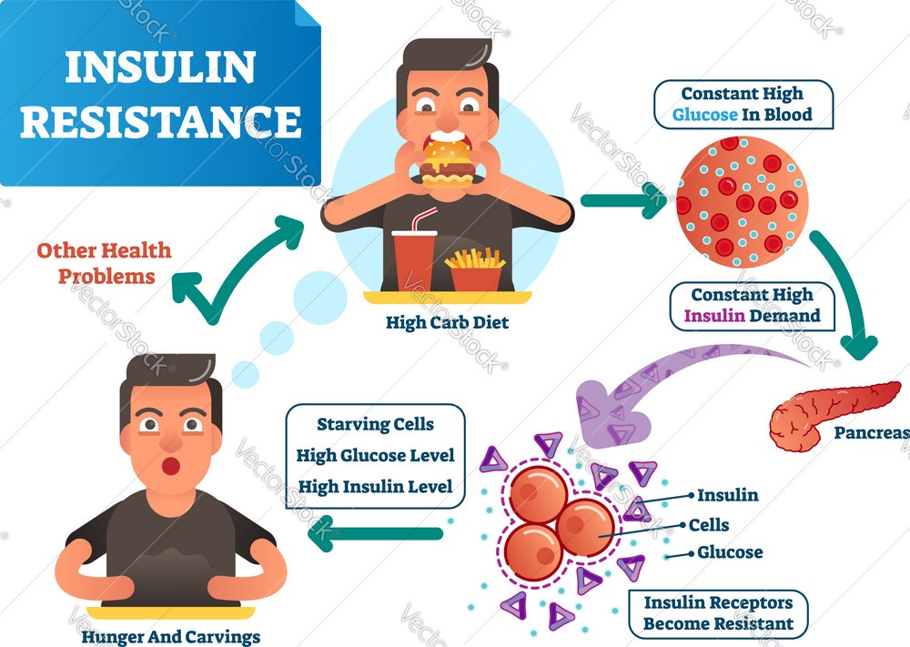 Do genes have an impact on insulin resistance?