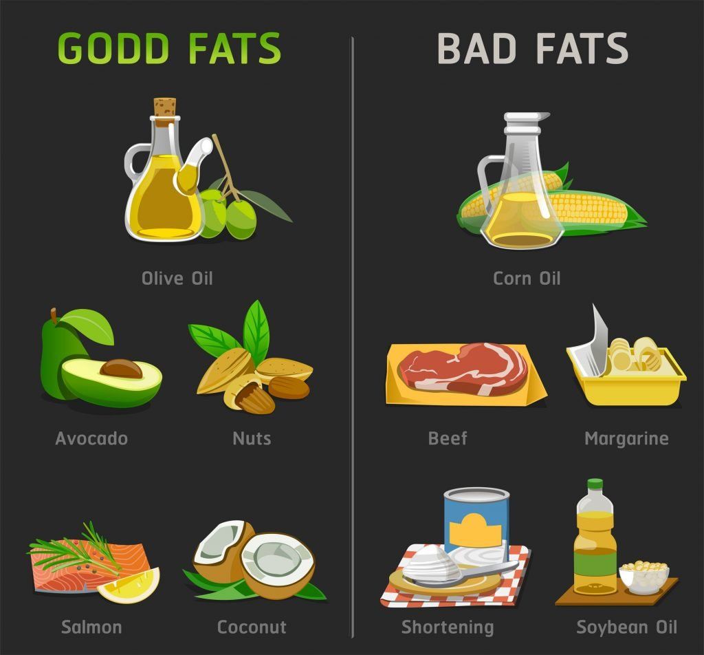 How do we get energy from fats?