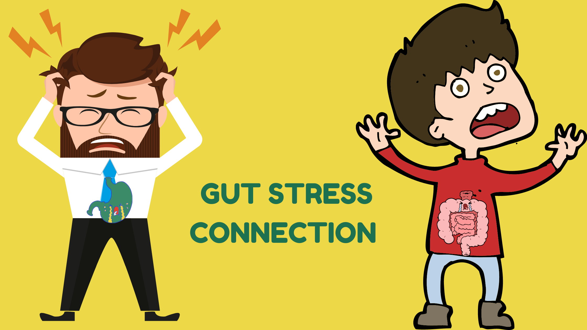 Gut-Stress Connection