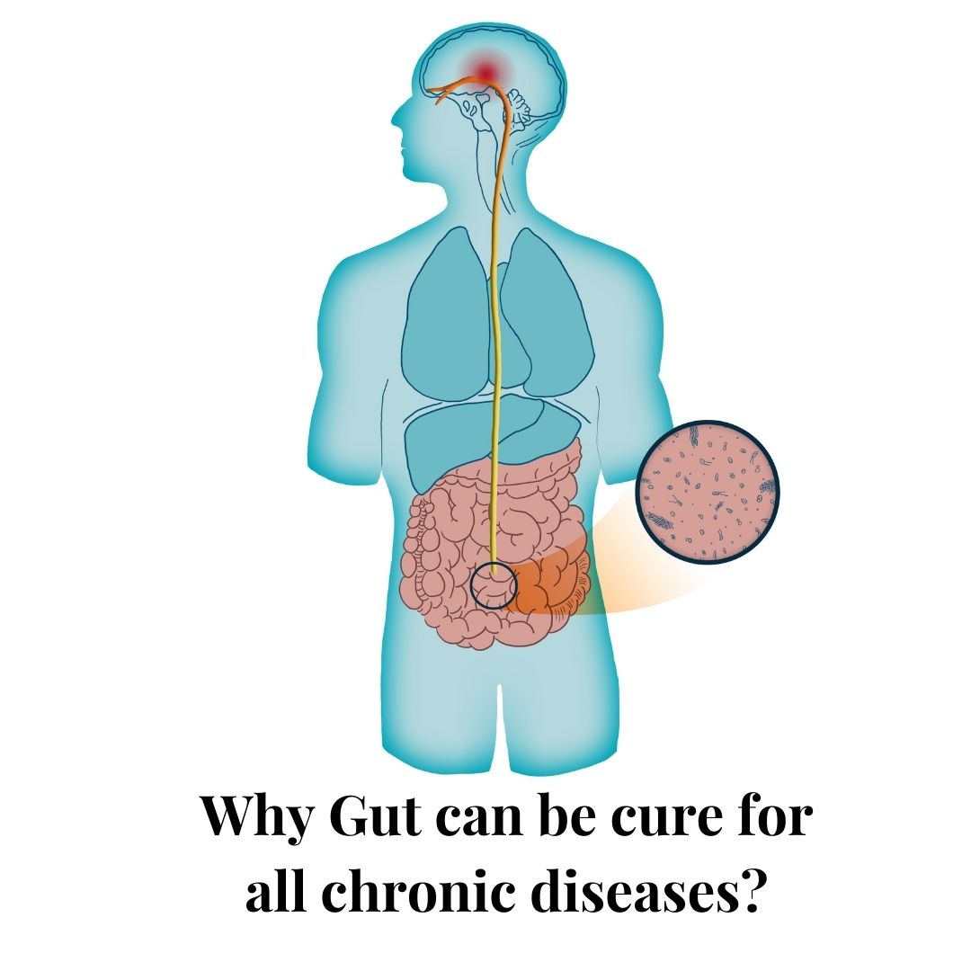 Why Gut can be cure for all chronic diseases?