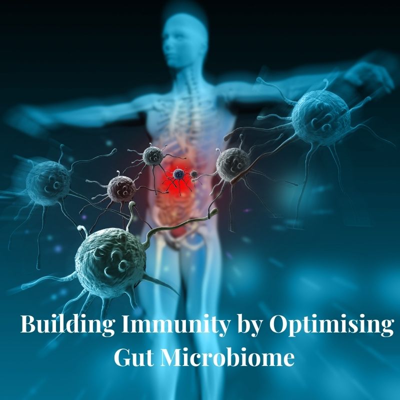 Building Immunity by Optimising Gut Microbiome